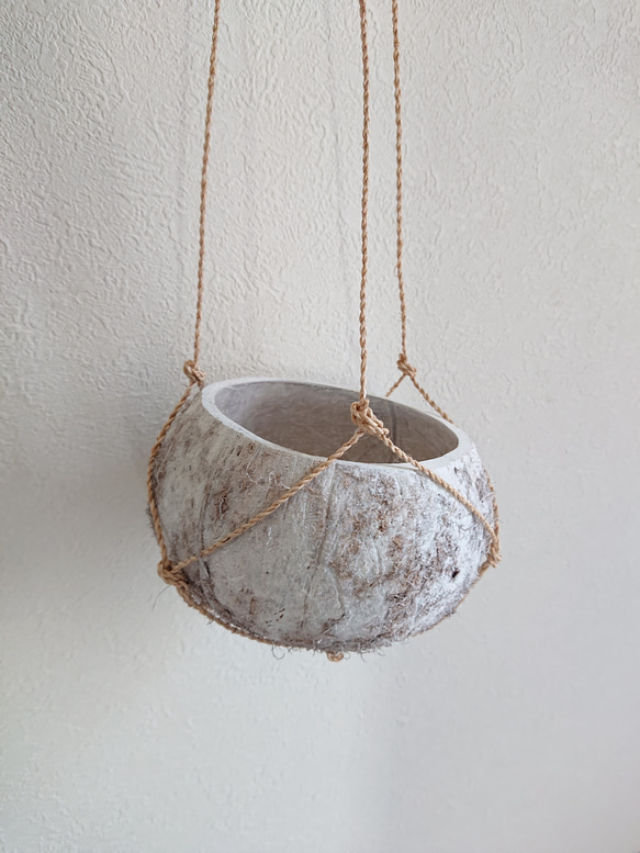 ●数量限定●新作●　 ”ペペロミア・ホープ cocoハンギングプランターセット"　観葉植物　多肉植物　壁掛け　ギフト 6枚目の画像