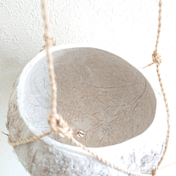 ●数量限定●新作●　 ”ペペロミア・ホープ cocoハンギングプランターセット"　観葉植物　多肉植物　壁掛け　ギフト 9枚目の画像