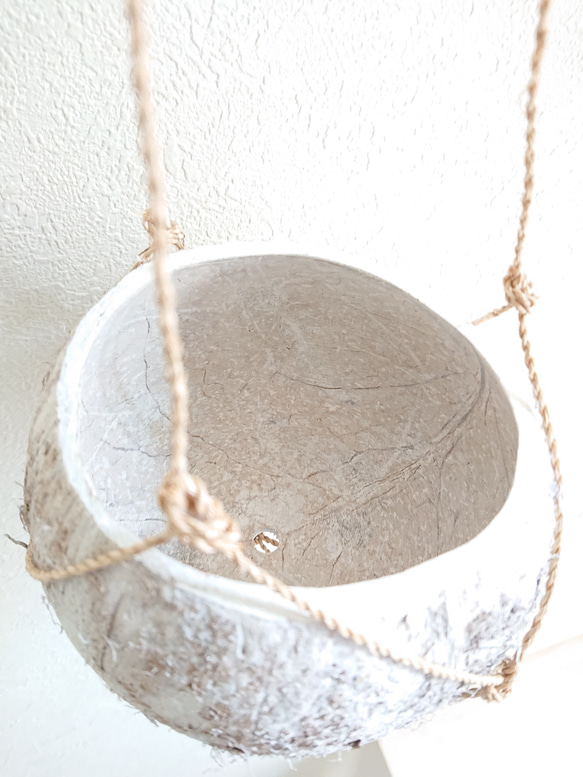 ●数量限定●新作●　 ”ペペロミア・ホープ cocoハンギングプランターセット"　観葉植物　多肉植物　壁掛け　ギフト 9枚目の画像