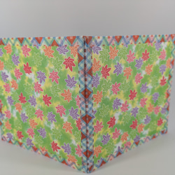 かぐや姫 9枚目の画像