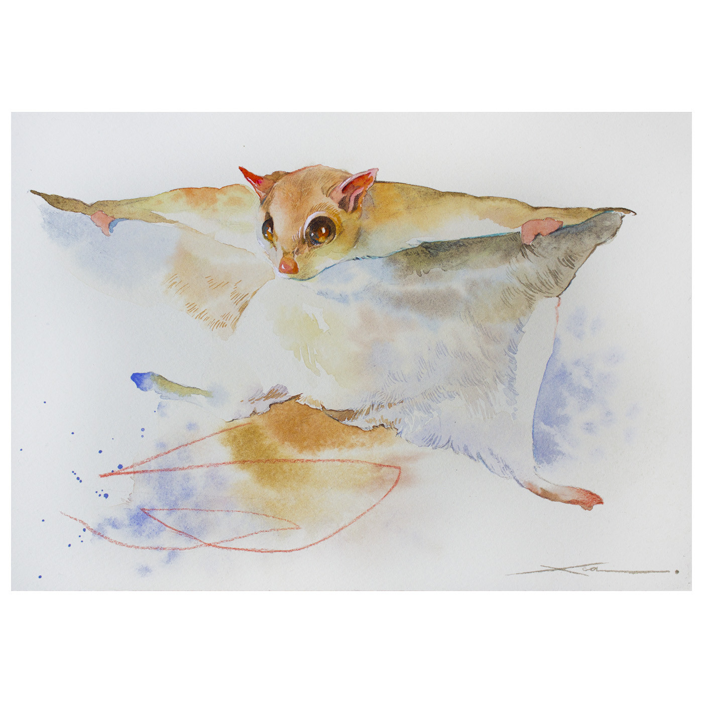 フクロモモンガ_水彩原画_イラスト