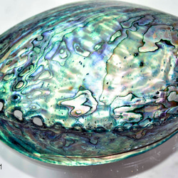 モレッティのガラス棒 透明系 GLASS ROD TR-24色24本10CM ＃トンボ玉