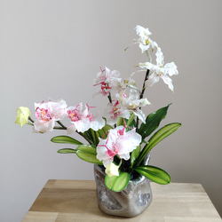 胡蝶蘭♡ピンク♡鉢植え♡アメリカンフラワー♡ディップアート