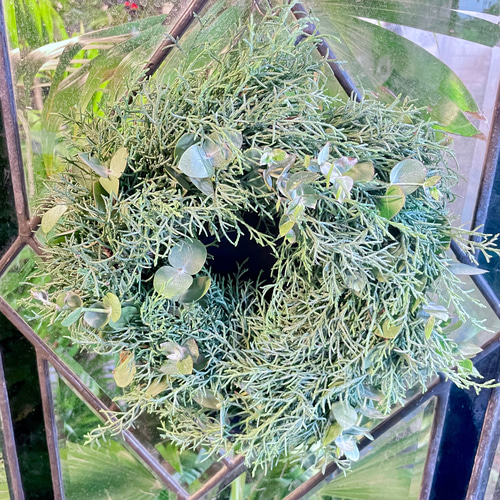 冬の香りを飾るリース＊ブルーアイスとユーカリの香るグリーンリース