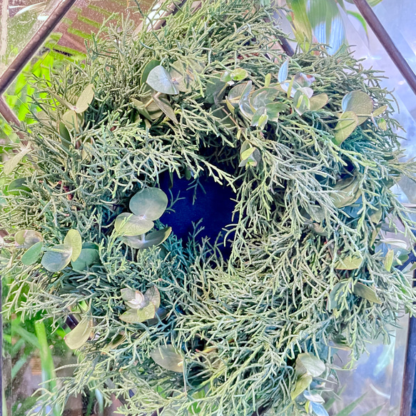 冬の香りを飾るリース＊ブルーアイスとユーカリの香るグリーンリース／ナチュラル フレッシュリース 4枚目の画像