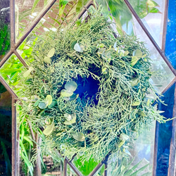冬の香りを飾るリース＊ブルーアイスとユーカリの香るグリーンリース／ナチュラル フレッシュリース 1枚目の画像