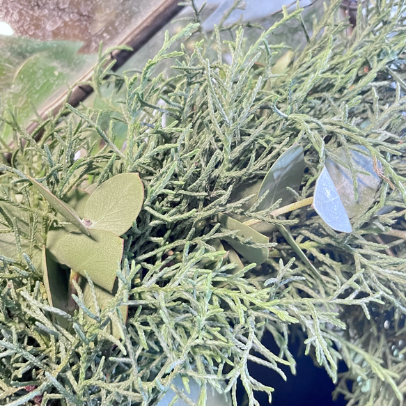 冬の香りを飾るリース＊ブルーアイスとユーカリの香るグリーンリース／ナチュラル フレッシュリース 6枚目の画像