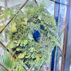 冬の香りを飾るリース＊ブルーアイスとユーカリの香るグリーンリース／ナチュラル フレッシュリース 3枚目の画像