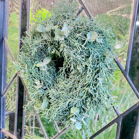 冬の香りを飾るリース＊ブルーアイスとユーカリの香るグリーンリース／ナチュラル フレッシュリース 2枚目の画像