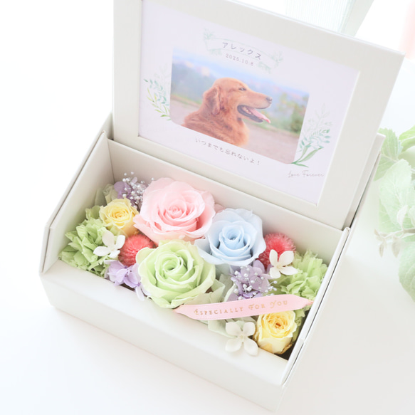 ペット写真・名前入りの虹色フォトフレームボックス｜お供え・仏花　pre.132 16枚目の画像