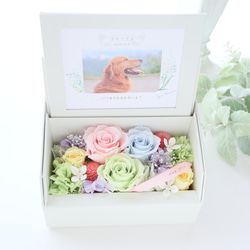 ペット写真・名前入りの虹色フォトフレームボックス｜お供え・仏花　pre.132 13枚目の画像