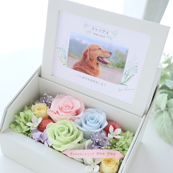 ペット写真・名前入りの虹色フォトフレームボックス｜お供え・仏花　pre.132 8枚目の画像