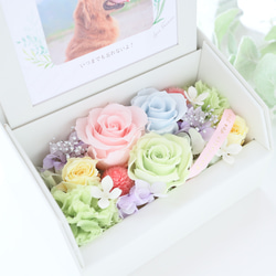 ペット写真・名前入りの虹色フォトフレームボックス｜お供え・仏花　pre.132 10枚目の画像