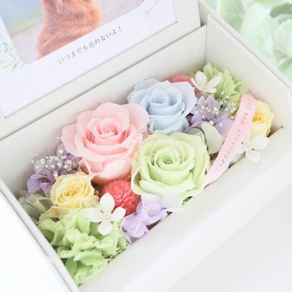 ペット写真・名前入りの虹色フォトフレームボックス｜お供え・仏花　pre.132 14枚目の画像