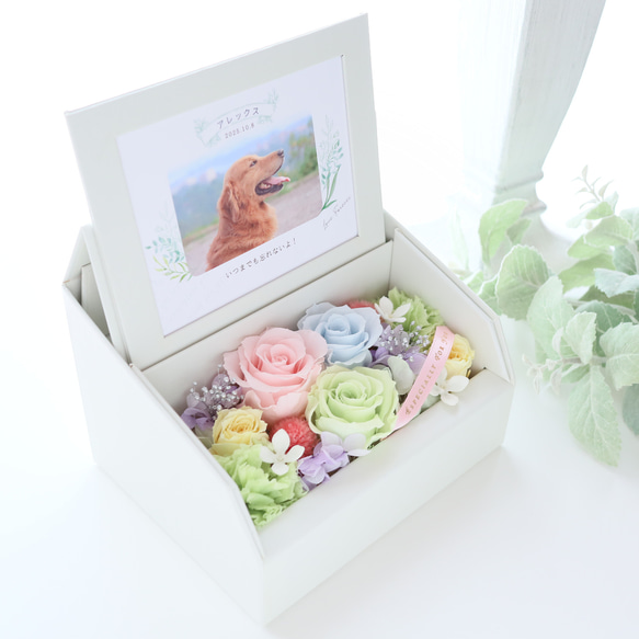 ペット写真・名前入りの虹色フォトフレームボックス｜お供え・仏花　pre.132 6枚目の画像