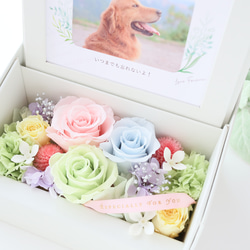 ペット写真・名前入りの虹色フォトフレームボックス｜お供え・仏花　pre.132 3枚目の画像