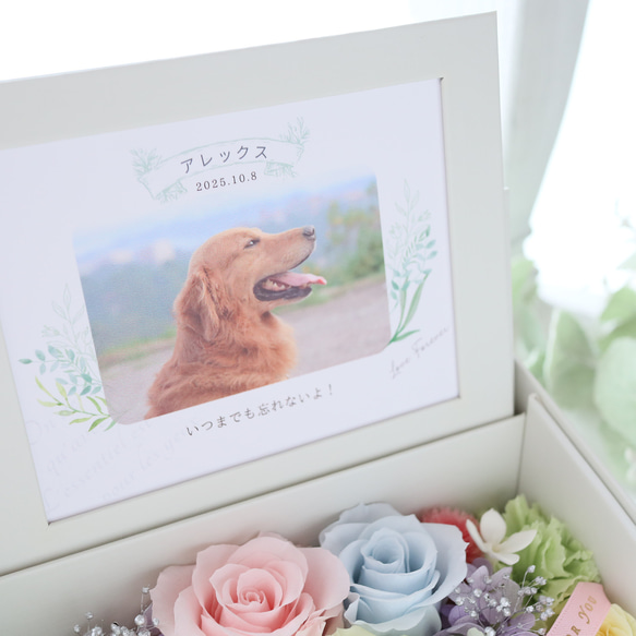 ペット写真・名前入りの虹色フォトフレームボックス｜お供え・仏花　pre.132 7枚目の画像