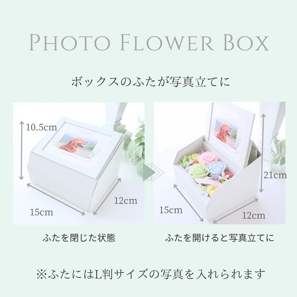 ペット写真・名前入りの虹色フォトフレームボックス｜お供え・仏花　pre.132 12枚目の画像