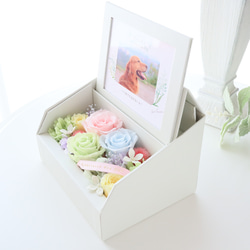 ペット写真・名前入りの虹色フォトフレームボックス｜お供え・仏花　pre.132 5枚目の画像