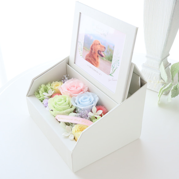 ペット写真・名前入りの虹色フォトフレームボックス｜お供え・仏花　pre.132 5枚目の画像