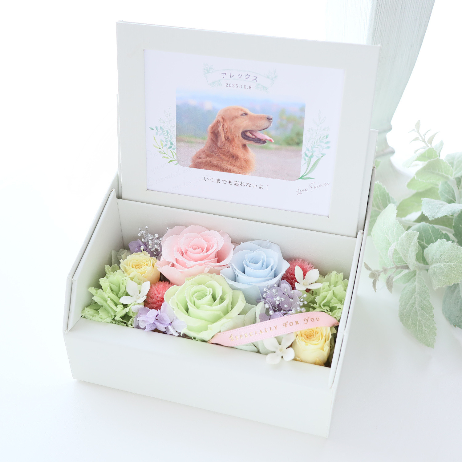 ペット写真・名前入りの虹色フォトフレームボックス｜お供え・仏花　pre.132 4,698円