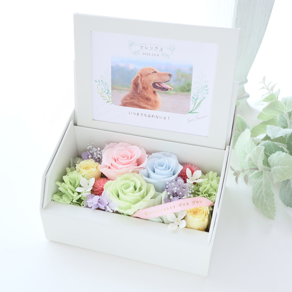 ペット写真・名前入りの虹色フォトフレームボックス｜お供え・仏花　pre.132 1枚目の画像