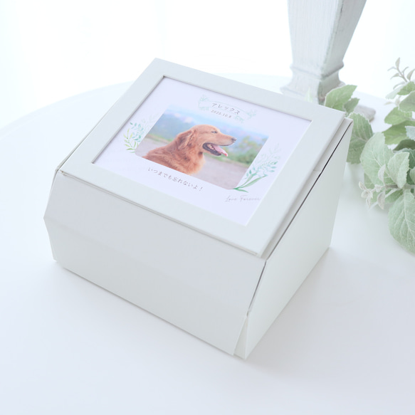 ペット写真・名前入りの虹色フォトフレームボックス｜お供え・仏花　pre.132 11枚目の画像