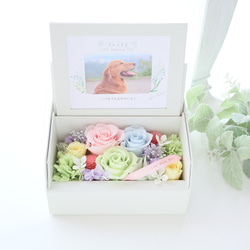 ペット写真・名前入りの虹色フォトフレームボックス｜お供え・仏花　pre.132 4枚目の画像