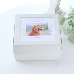 ペット写真・名前入りの虹色フォトフレームボックス｜お供え・仏花　pre.132 2枚目の画像