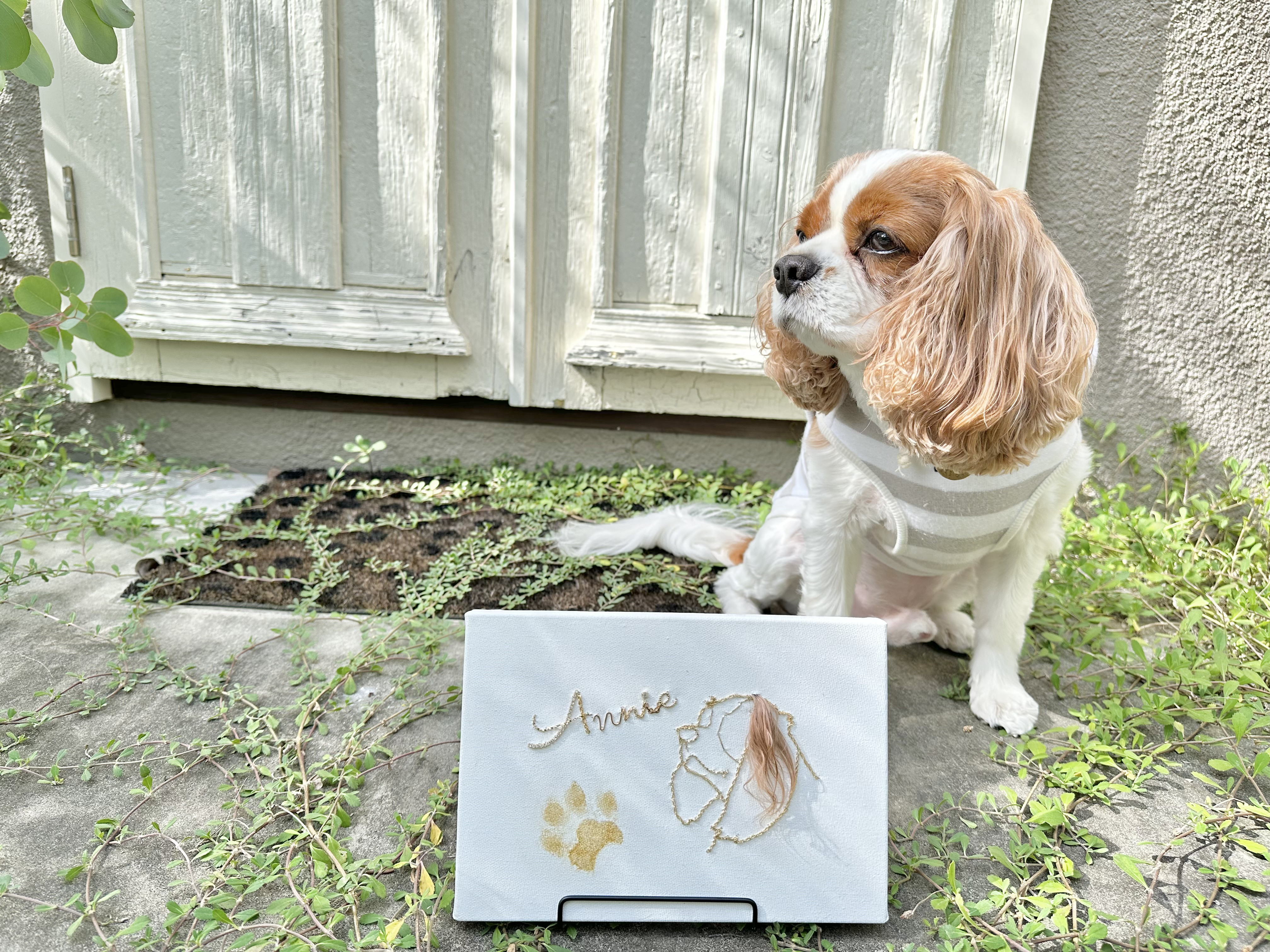 モフのっ毛ビジュ－ボ－ド　シルエットver  ［SM/227×158mm］