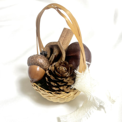 しろくま貯金箱》北海道の森の宝物＊どんぐりポシェット&ぼうし その他