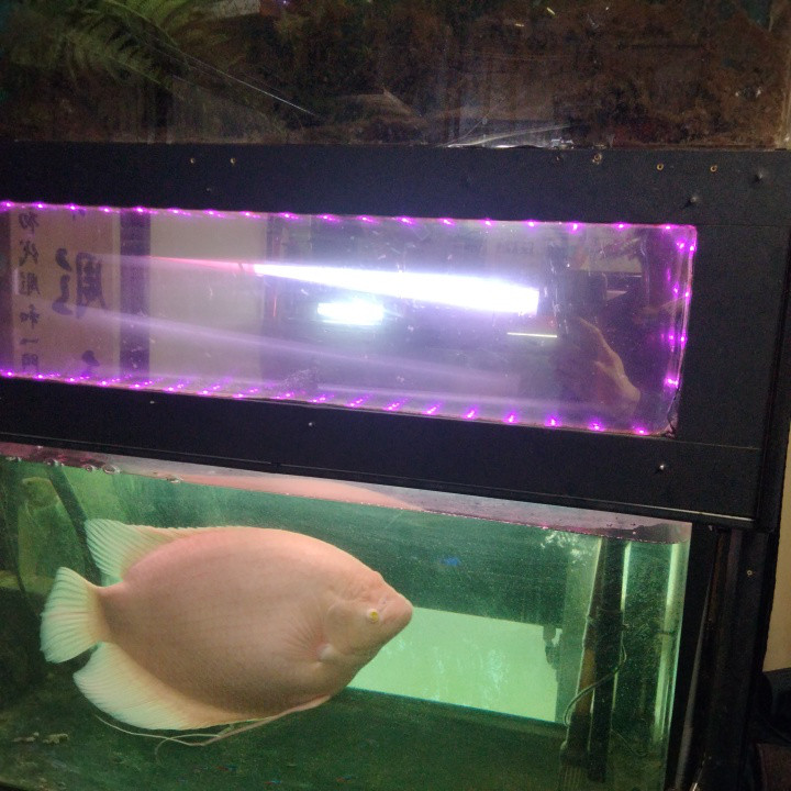 リフジウム水槽    90cm水槽