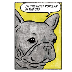 【メッセージ】アメコミ風　フレブルパーカー　グレーパーカー　メッセージ入れ　親子コーデ 6枚目の画像