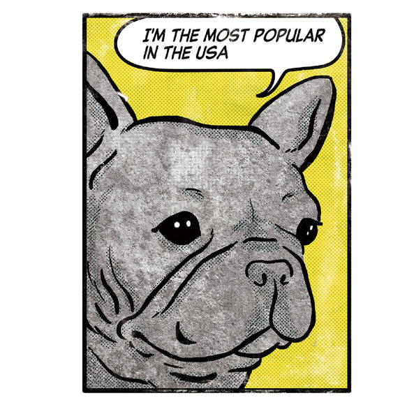 【メッセージ】アメコミ風　フレブルパーカー　グレーパーカー　メッセージ入れ　親子コーデ 6枚目の画像