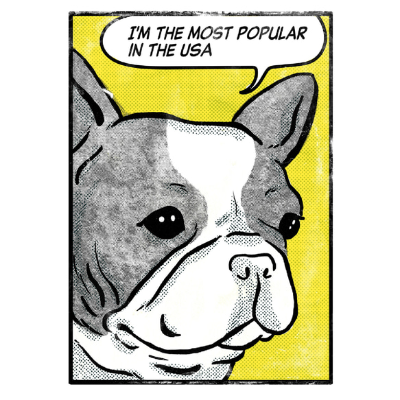 【メッセージ】アメコミ風　フレブルパーカー　グレーパーカー　メッセージ入れ　親子コーデ 7枚目の画像