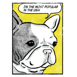 【メッセージ】アメコミ風　フレブルパーカー　グレーパーカー　メッセージ入れ　親子コーデ 8枚目の画像