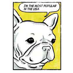 【メッセージ】アメコミ風　フレブルパーカー　グレーパーカー　メッセージ入れ　親子コーデ 5枚目の画像