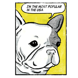 【メッセージ】アメコミ風　フレブルパーカー　グレーパーカー　メッセージ入れ　親子コーデ 9枚目の画像