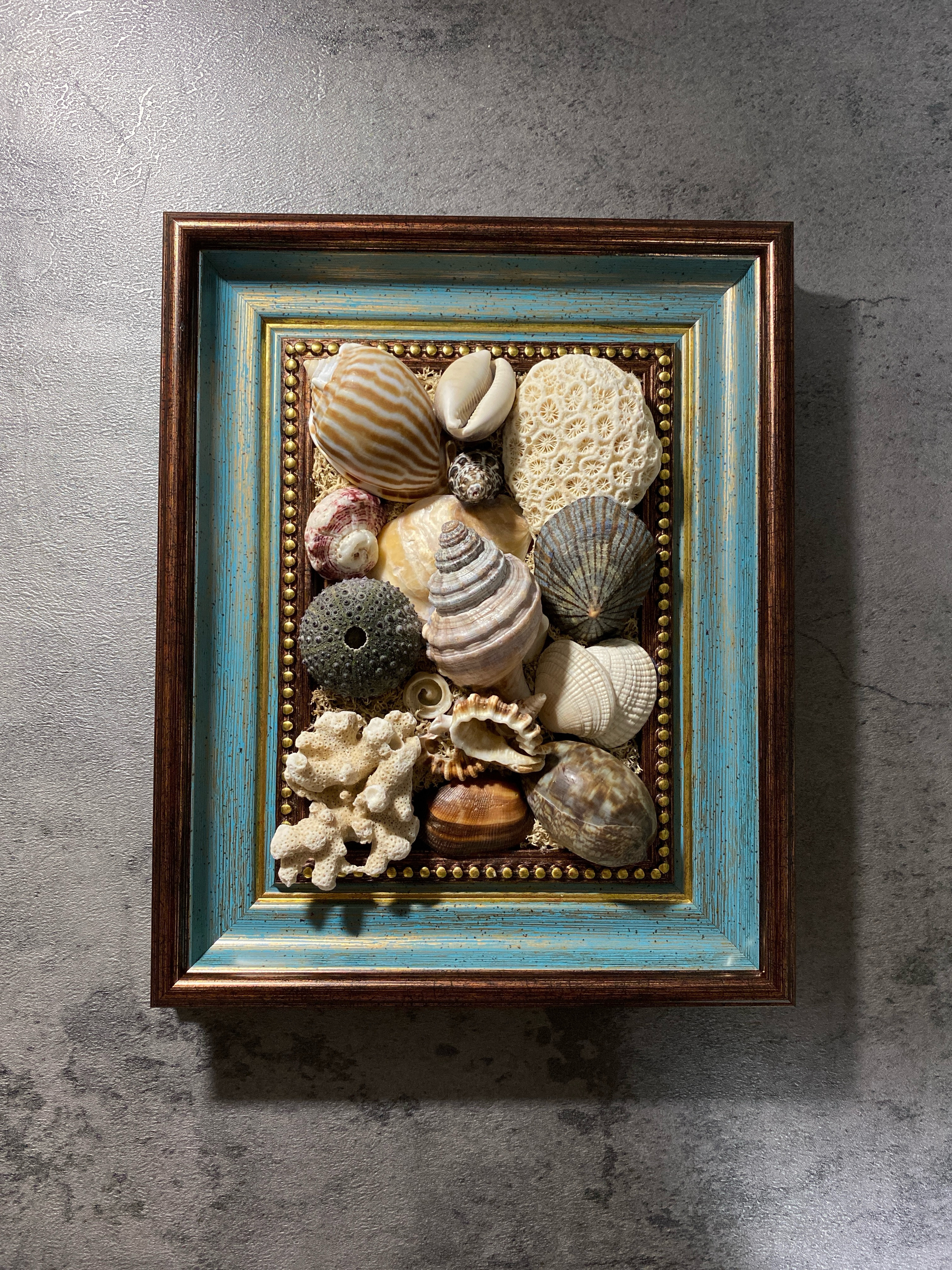#貝殻#フレーム#アレンジメント#男前インテリア#オシャレ#海#海好き#プレゼント