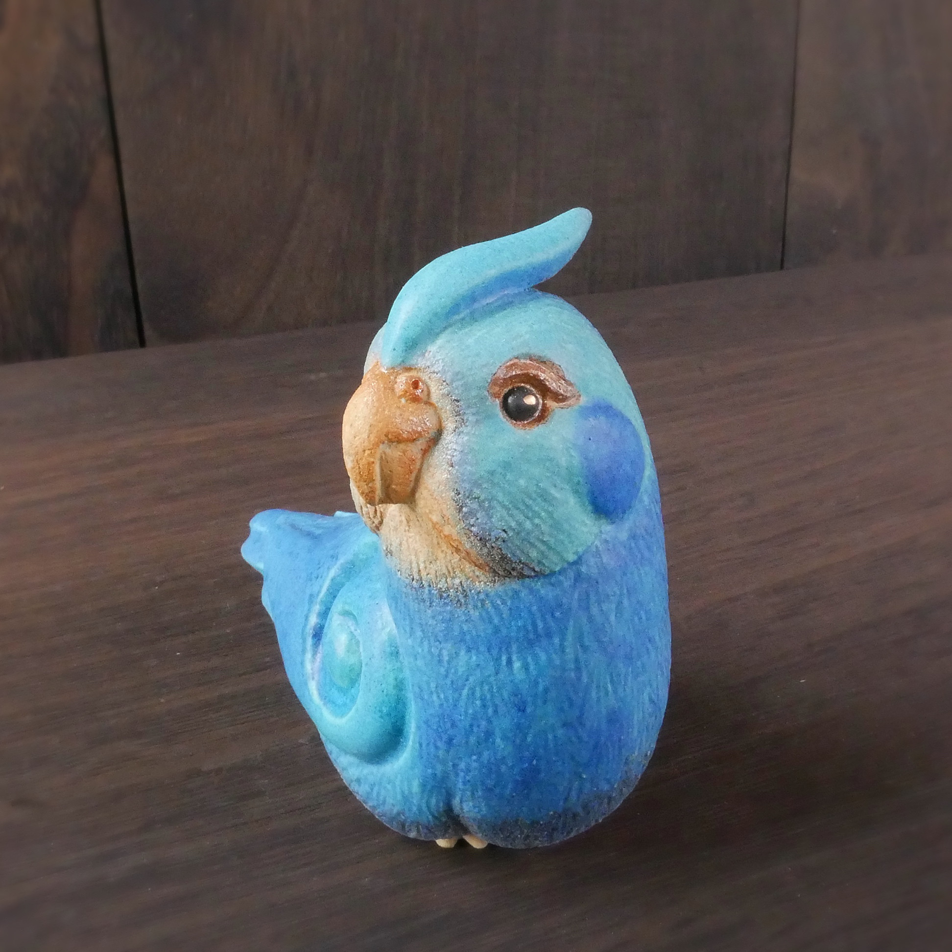 青色オカメインコ no.16