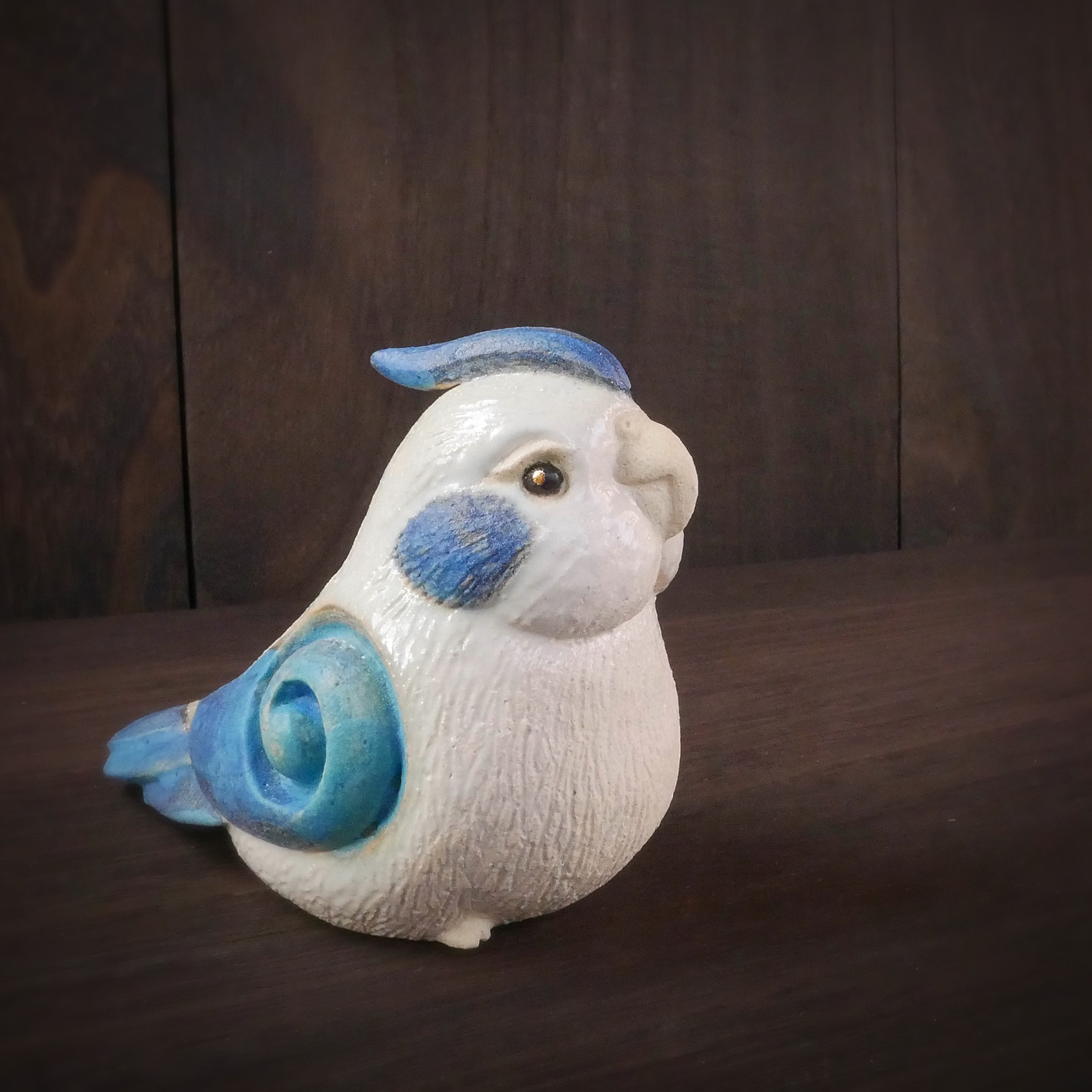 青色オカメインコ no.17