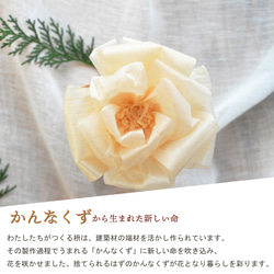  第3張的照片