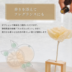  第5張的照片