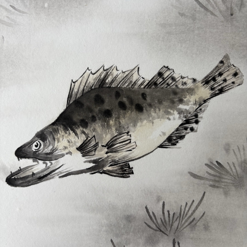 水墨画 茶色と黒の作品 魚 水草 水墨画 絵画 色紙 絵画 こたつ 通販 19930801｜Creema