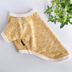 犬服・アクセサリー ateliergg 犬服｜Hello dog｜ダブルガーゼ×杢天竺ボーダーニット｜選べる3