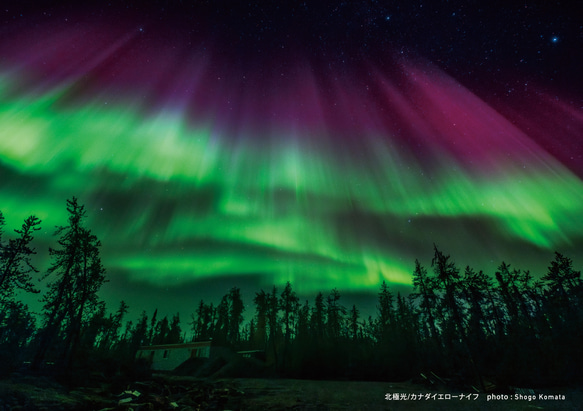 星景・星のカレンダー「宙めぐり」2026 15枚目の画像