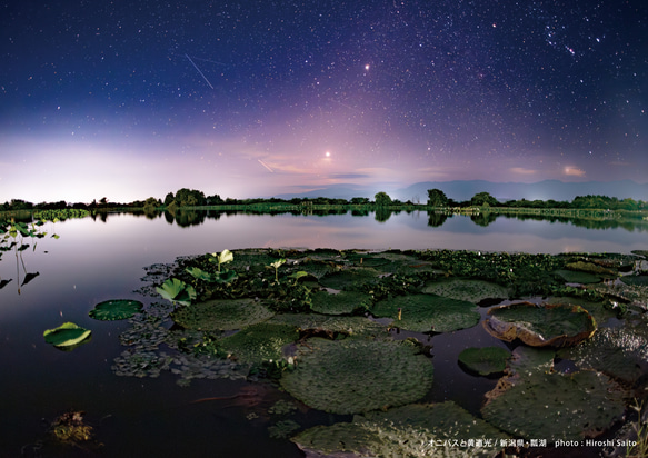 星景・星のカレンダー「宙めぐり」2026 12枚目の画像