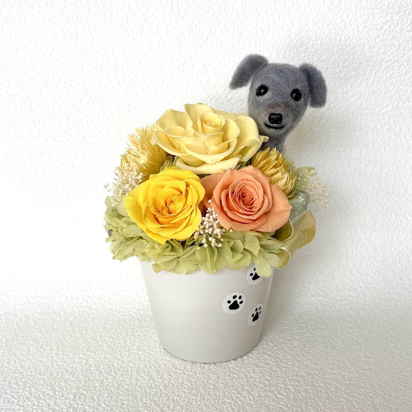 ちょこんと顔出す　イタリアングレーハウンド（右側）＆　プリザーブドフラワー（黄色系）　/　羊毛フェルト　犬　米寿祝い