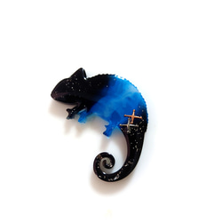 宇宙　カメレオン　トカゲ　ブローチ 3枚目の画像