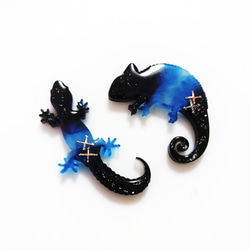 宇宙　カメレオン　トカゲ　ブローチ 1枚目の画像